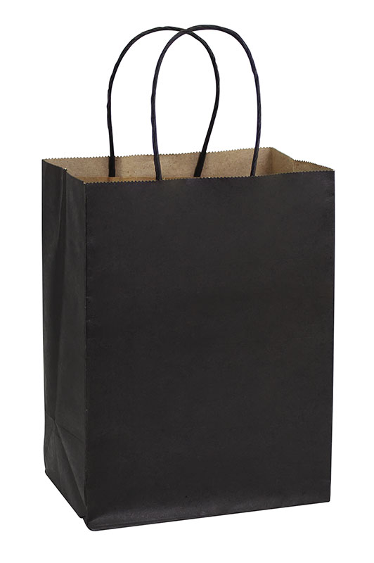 E100 Bolsa de Papel 120g/m2 15x20x10cm